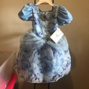 Blue princess dress